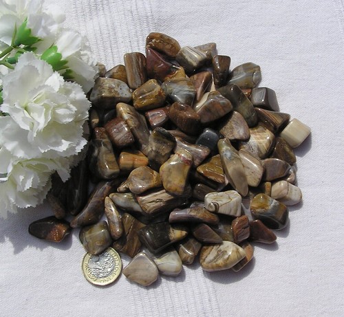 Petrified wood polished - 20,