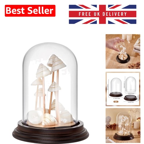 Clear decorative bell - clear, jar