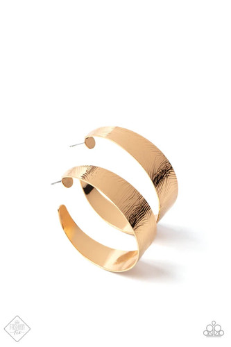 Paparazzi gold hoop earring - paparazzi,