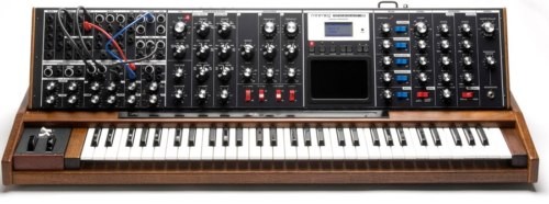 Moog minimoog voyager - moog, xl