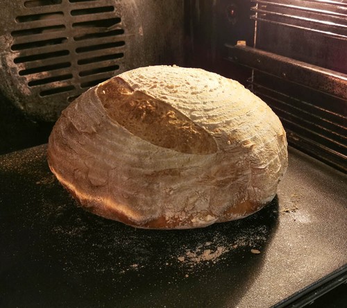 Sourdough cast iron bread - cast,