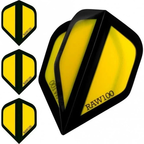 Raw 100 dart flights - 100,