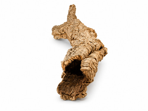 Large cork bark tube - tube, for