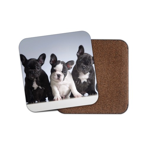 Adorable french bulldog - french,