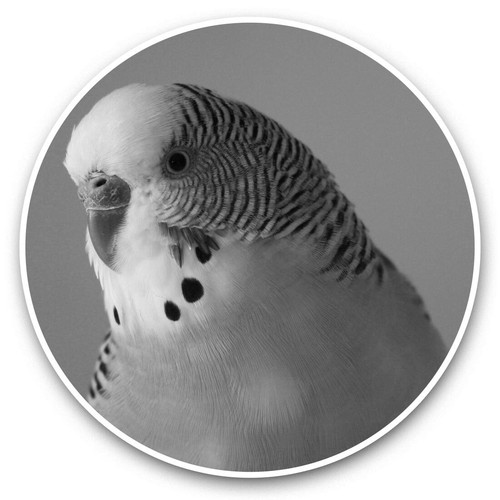 Vinyl stickers 15cm - x, (bw)