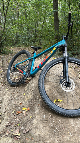 Trek roscoe 29in hardtail - trek,