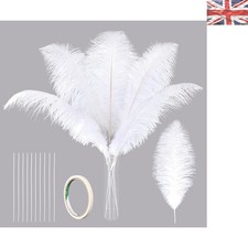 Set of 10 Luxurious Ostrich