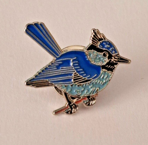 Blue fairy wren bird - fairy,