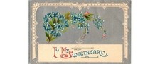 1903 Forget-Me-Not Postcard-