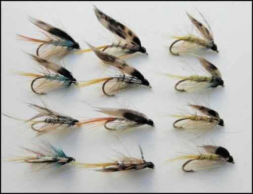 Invicta wet trout flies 12 - wet,