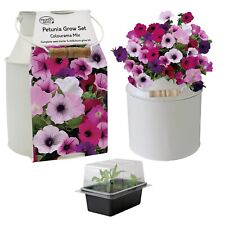 Flower Bulbs & Seeds | Gardening Gift Sets with Soil & Planter