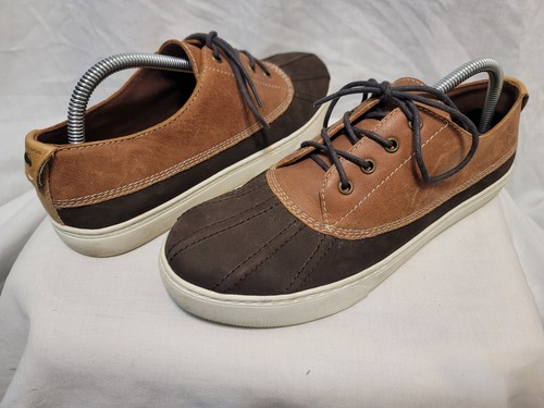 Bass co sydney - bass, |