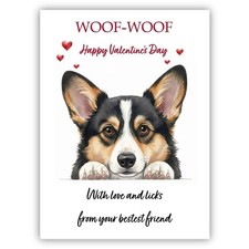 Cardigan Welsh Corgi Dog