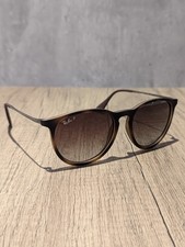 Ray-Ban Erika Sunglasses