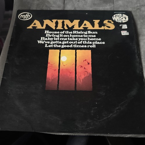 Animals the most - most, of