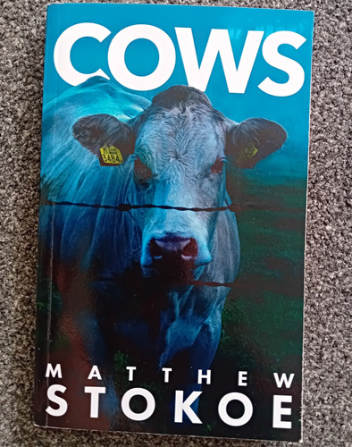 Cows matthew stokoe - matthew, (2015)