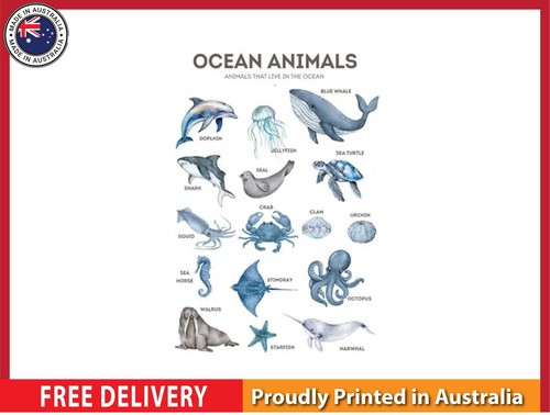 New ocean animals - new,