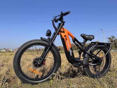 Fat tire electric bike - fat,