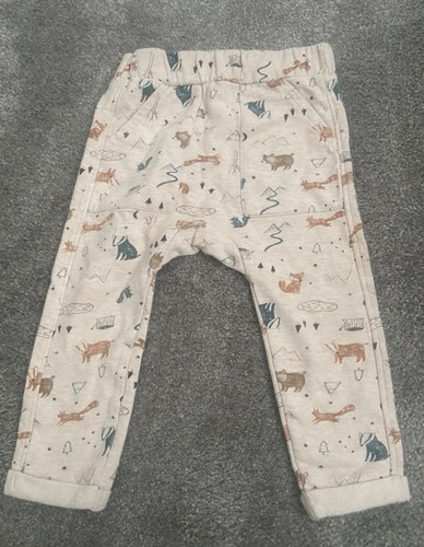 Woodland animals theme