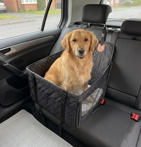 Dog car seat back - dog,