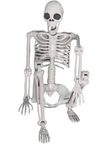 Lifesize hanging skeleton prop - skeleton,