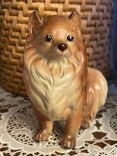 Sitting Pomeranian Dog Puppy