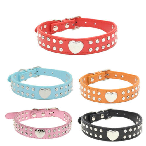 Dog collar leather - dog,