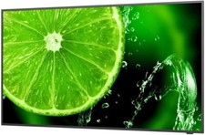 NEC MultiSync E498 49" 4K