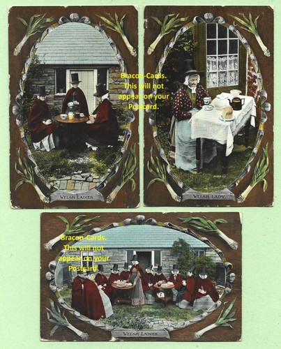 J186 welsh ladies - [j186],