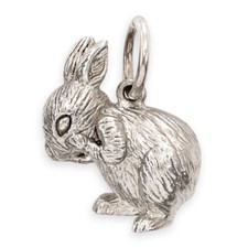 4.6g Solid Sterling Silver Shy