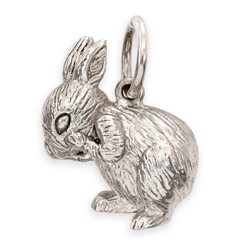 Solid sterling silver shy - solid,