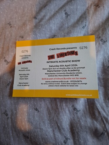 Libertines unused ticket - unused,