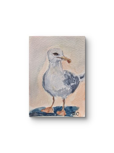 Original seagull watercolour - original,