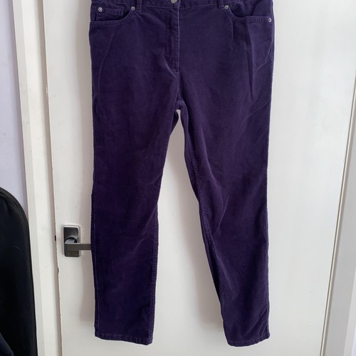 Collection purple cord - collection,