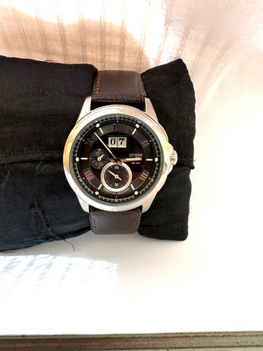 Citizen mens perpetual - citizen,