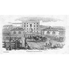 LONDON Islington New Cattle