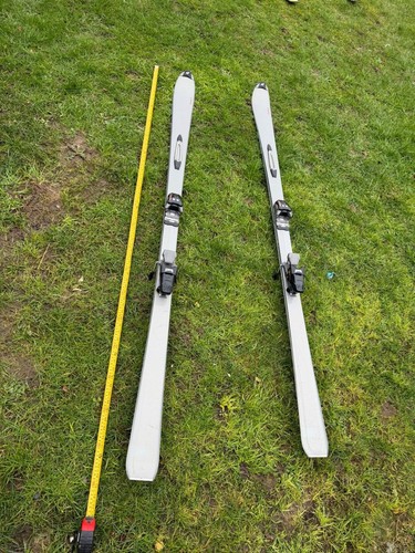 Nordica 190cm skis - nordica,