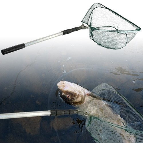 Telescopic fishing landing - telescopic, net