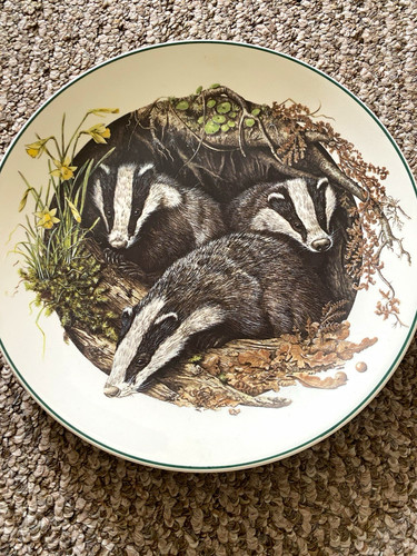 Wedgwood baby animal - baby,