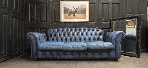 Chesterfield rare blue - rare,