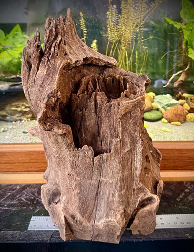 Aquarium driftwood 9kg - driftwood, 2.9kg