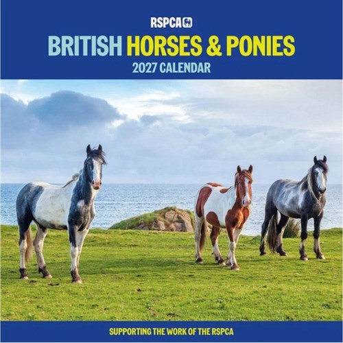 Rspca british horses - rspca,, ponies