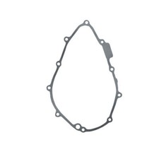 Left Crankcase Alternator