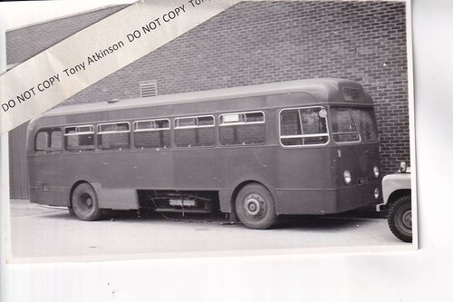 Western welsh leyland - western,