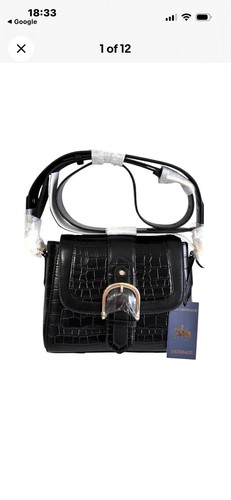 Paul costelloe dressage - paul,