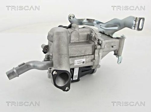 Triscan egr valve - valve, for