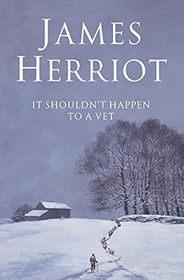 Shouldnt happen a vet - shouldnt,