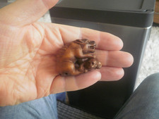 Hand Carved wood netsuke of a