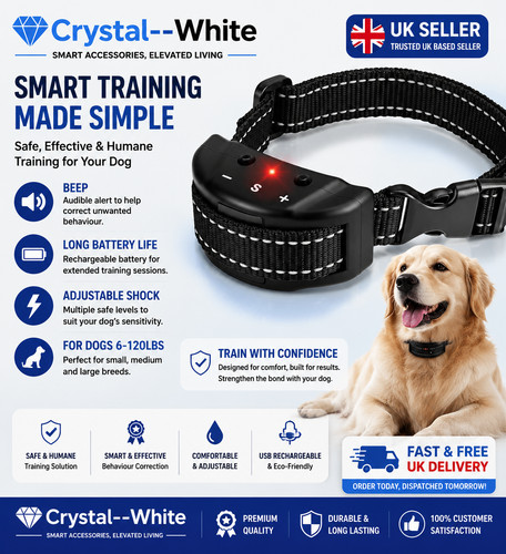 Pet dog training - dog,