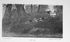 Original Old Antique Print